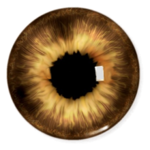 eye png download for photo editing - cb eye png download HD- NSB PICTURES