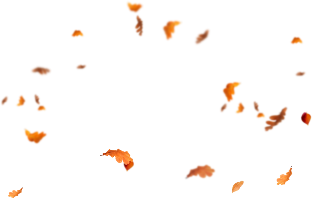 falling leaves after effects download free