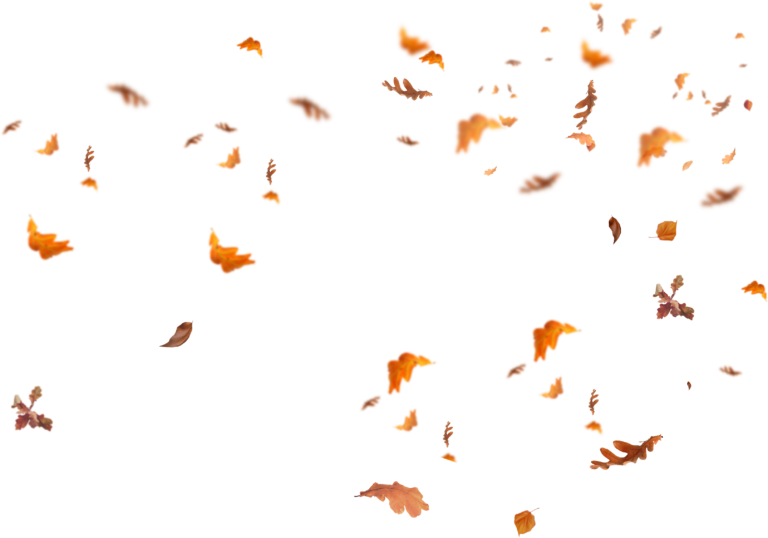 Download Falling Leaves Png Images - Flying Autumn Leaf Png [free]