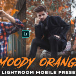 Moody orange lightroom mobile preset download – FREE