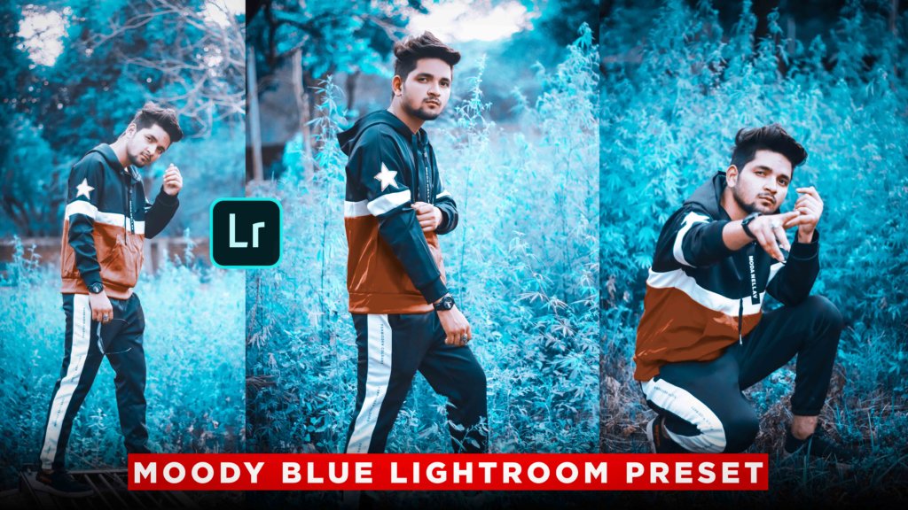 moody presets for lightroom free