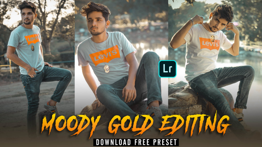 Moody gold lightroom mobile preset FREE Download