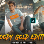 Moody gold lightroom mobile preset FREE Download