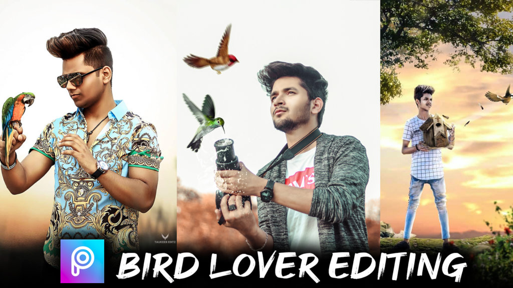 bird lover picsart editing tutorial and background png download