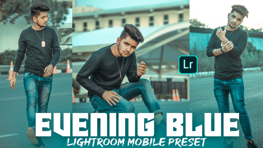 download evening blue lightroom mobile preset by NSB Pictures FREE