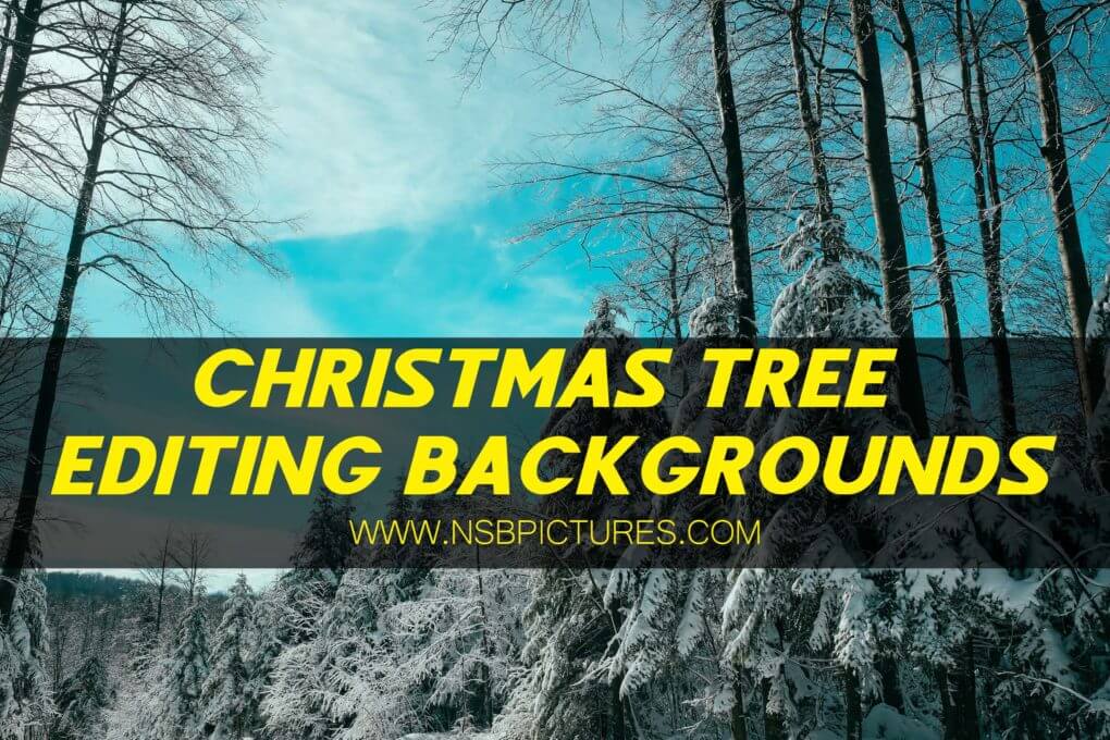Christmas tree background Pack FREE Download - NEW 2020