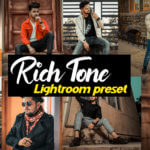 Lightroom mobile rich look preset download