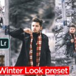 Winter tone Lightroom presets