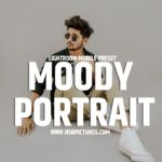 NSB Moody portrait lightroom dng preset