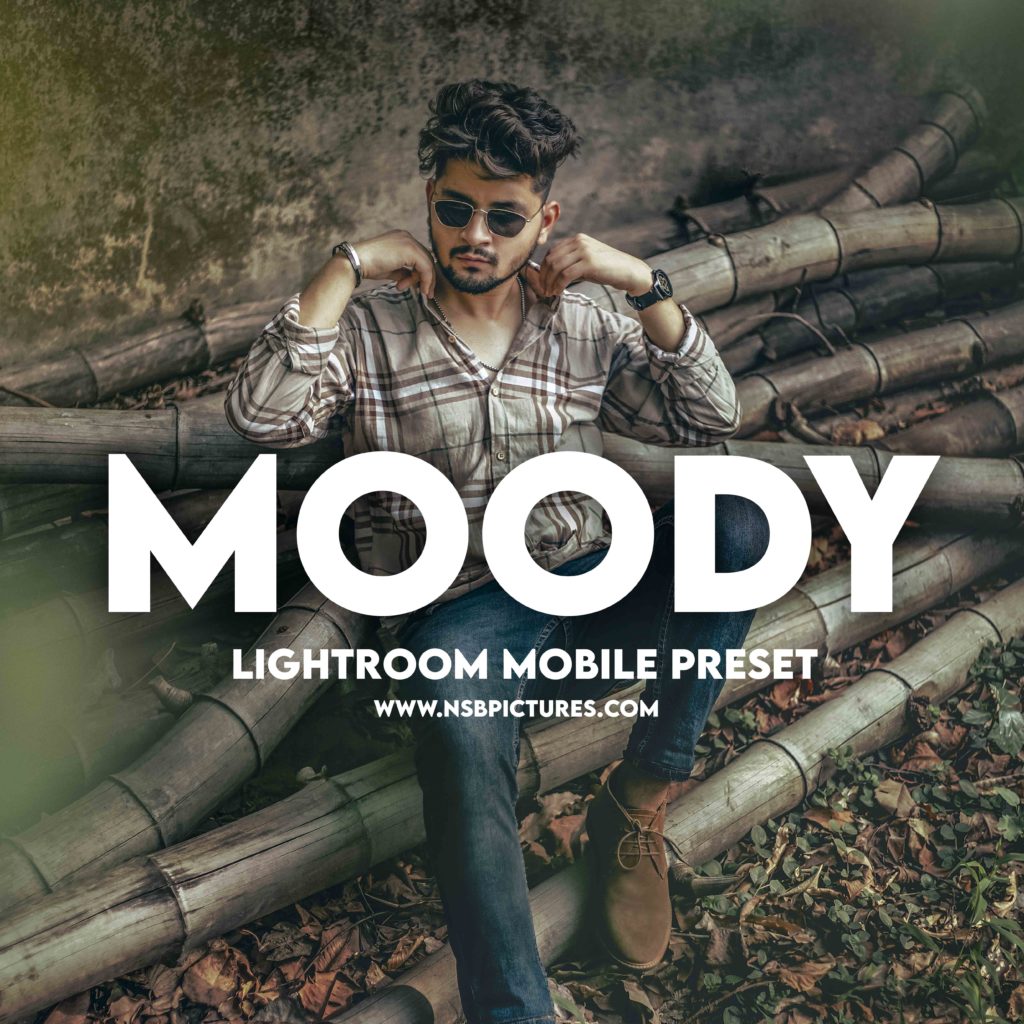 Moody tone Lightroom mobile Preset DNG Free download NSB Pictures